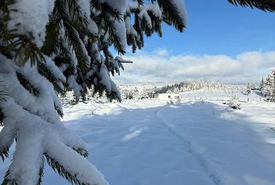 Spațiu comercial, în Măguri - 8