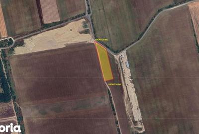 Teren de 26700 mp, în Daia - 1