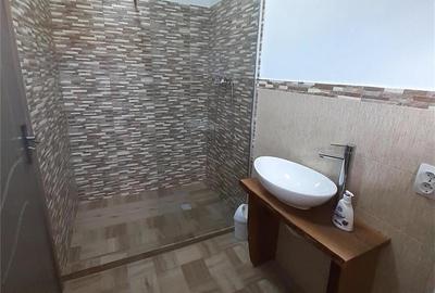 Casă cu 2 camere în Cârțișoara - 6