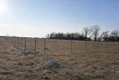 Teren Construcții intravilan de 695 mp, în Moșnița Nouă