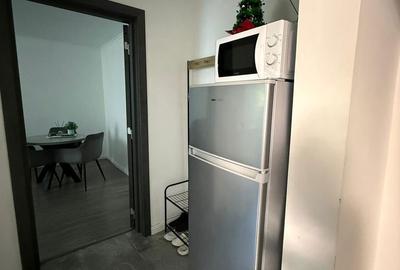 Apartament cu 2 camere decomandat, mobilat în Tei - 10