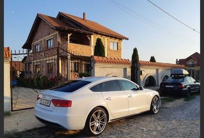 House for sale, 6 Rooms, 242 sqm, 800 sqm, Vetiș - 4