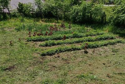 Casa cu teren generos la 15 km de Craiova - 7