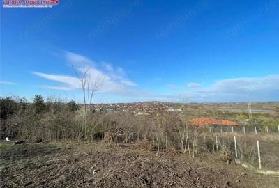 Teren de vanzare zona Bididia Tulcea - 9