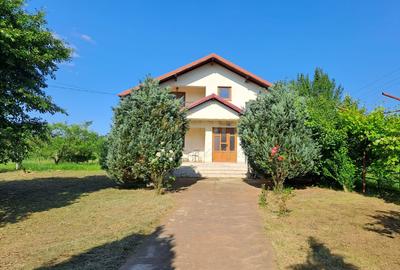 Casă individuală cu 6 camere cu Teren 2756 Mp în Băicoi - 1