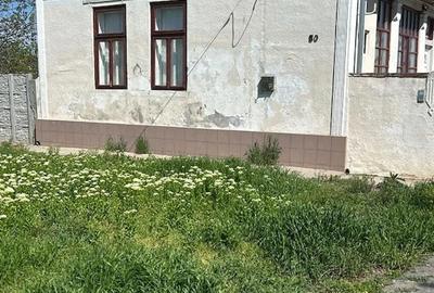 Casă cu Teren 6000 Mp în Șandra - 2