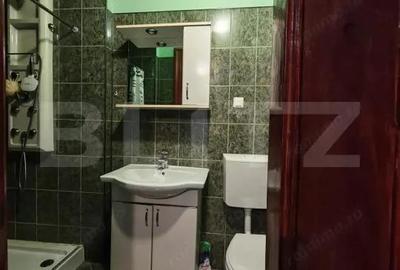 Cladire istorica, 3 camere, view spectaculos, Iosefin - 12