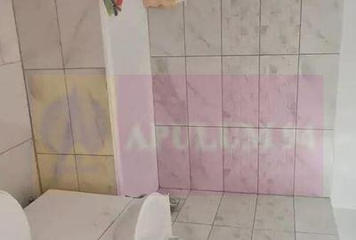 Apartament 2 Camere Theodor Pallady Bulevard - 3