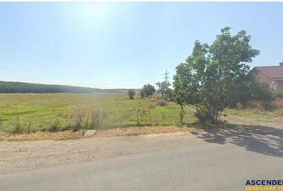 Teren intravilan, pe 5.800 mp, cu vedere frumoasa,in localitatea Reghin. - 2