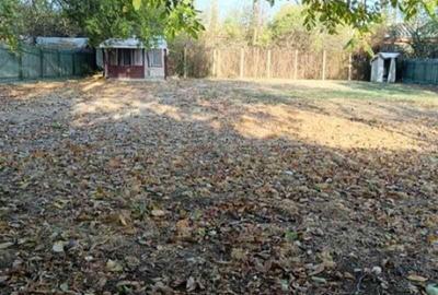 Buftea - Domeniul Stirbey - 3