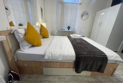 Garsonieră Ultra-Lux | Piața Unirii | 25 mp | Parter - 4