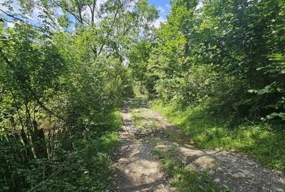 REL4001173 Teren de vanzare in Valea Doftanei - 7