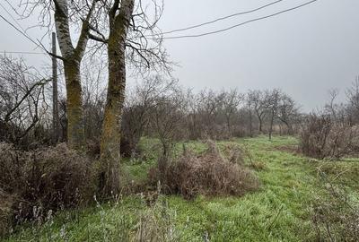 Teren de 2461 mp, în Sârbeni - 6