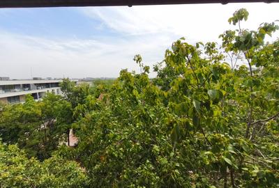 Iancu Nicolae, Zoo - 4