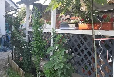 Casă cu 5 camere în Sânnicolau Mare - 7