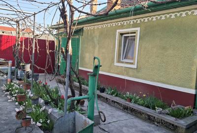 Casă individuală cu 6 camere cu Teren 2095 Mp în Nădlac - 15
