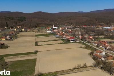 Teren de 2970 mp, în Mașloc - 5