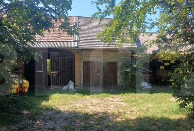 Casa taraneasca .Dalnic - 18