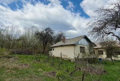 Casă cu Teren 2671 Mp în Plai - 8