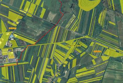 Teren de vanzare, extravilan, sat Rausor, jud Brasov, langa Fagaras - 6