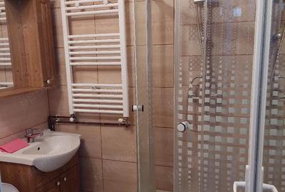 Garsonieră semidecomandată în Buziașului - 2