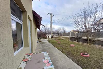 Casa 3 Camere, beci, magazie, mansarda 500 mp Teren - 11