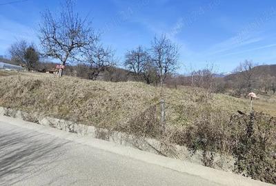 Teren de 1457 mp, în Micloșanii Mari - 4
