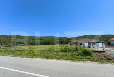 Teren de 4900 mp, în Central - 2