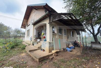 Casă cu 3 camere în Ardud - 2