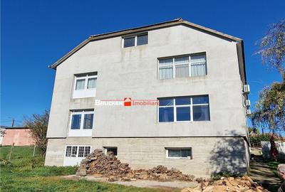 HALA INDUSTRIALA | GHENETEA - 4