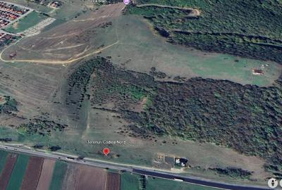 Teren Construcții intravilan de 24911 mp, în Nord-Est - 2