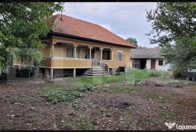 Casă cu 3 camere cu Teren 6869 Mp în Central - 1