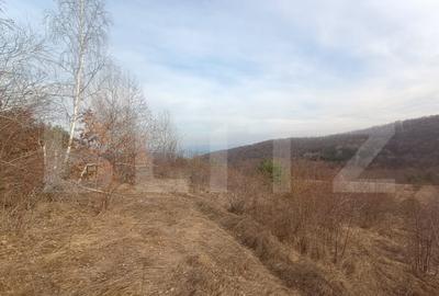 Teren extravilan, 12000 mp, curent com. Ramet - 3