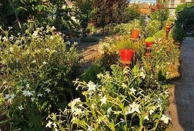 VILA UNICAT ULTRALUX P+1 +CASA CU TEREN 1412MP ZONA PALAZU MARE - 23