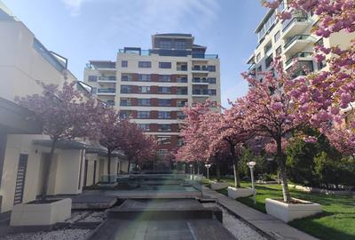 Apartament cu 3 camere decomandat în Barbu Văcărescu - 3