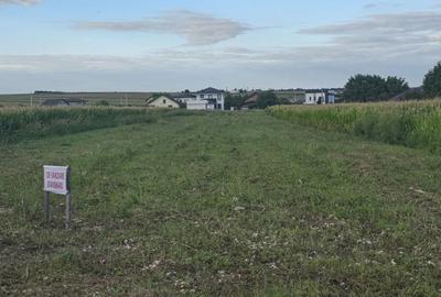 Spațiu comercial, în Dancu - 1