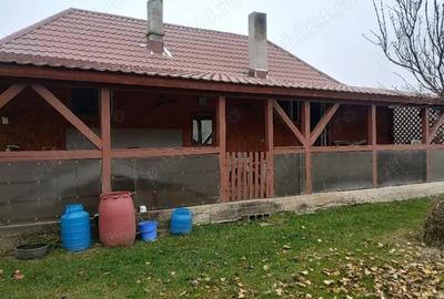 Casă cu 3 camere în Bălțata - 9