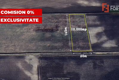 Teren agricol extravilan de 10000 mp, în Săcălaz - 2