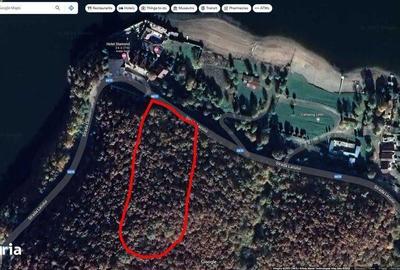 Teren de 20000 mp, în Teliucu Inferior - 3