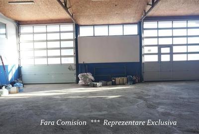 HALA + BIROURI, PARCARE GENEROASA - 6