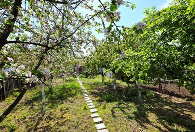 Casă cu 4 camere în Bujac - 3