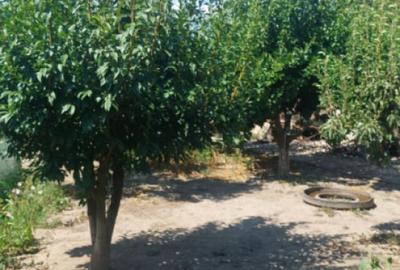 Casa in centrul Cobadinului - 16