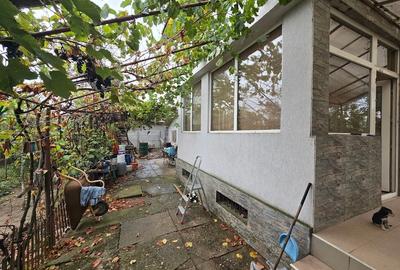 Magurele/Darasti-Ilfov/Vila individula cu crama,garaj,foisor,livada si solar - 19