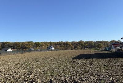 Spațiu comercial, în Ciolpani - 4