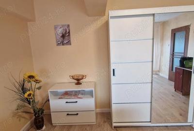Garsonieră decomandată în Nufărul - 4