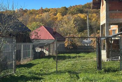 Casă cu 4 camere în Cotmeana - 2