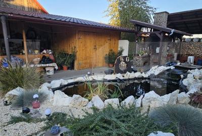 Casa de familie cu spa?iu de relaxare complet - Sf.Gheorgh - 13