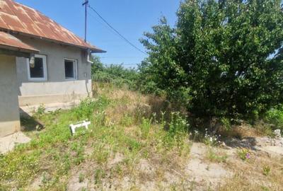 MAHMUDIA-TERENURI SI CASE - 7