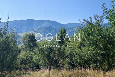 Terenul pe care se cladeste visul tau – Tocile, Sibiu - 5