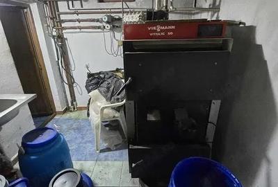 Casă cu 6 camere cu Teren 4000 Mp în Vedea